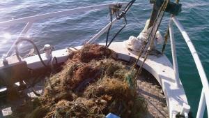 Инспектори иззеха 200 кг незаконен калкан