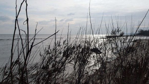 Новият проект за Карадере не предвиждал разширено застрояване