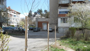 Залесяват с 500 фиданки Гоце Делчев
