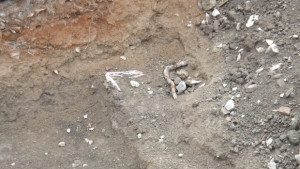 Намериха турско и средновековно жилище в парк Пети октомври