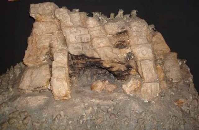 Зъби от пещерна мечка и рог от тур показват в Севлиево