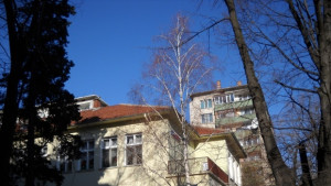 Четири класирания за детските градини