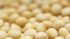 Автомат продава яйца в хърватски град