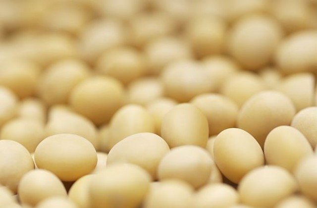 Автомат продава яйца в хърватски град