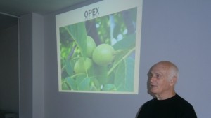 Доц Кирил СлавовКюстендилска област е благоприятна за отглеждането на орехи