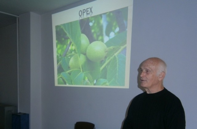 Доц. Кирил Славов:Кюстендилска област е благоприятна за отглеждането на орехи и лешници