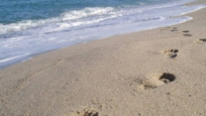 Протест и контрапротест за Карадере