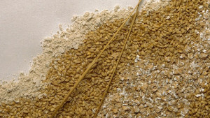 Генни инженери създадоха сложна синтетична хромозома