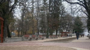 Кражби на цветя от градинките в Кюстендил