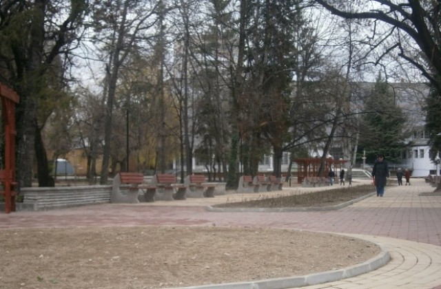 Кражби на цветя от градинките в Кюстендил