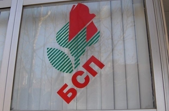 БСП: Целта на конкурса за директор на РИМ бе да отстрани Светла Димитрова