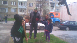 Засадиха нови 20 декоративни дръвчета в Горичката на знанието