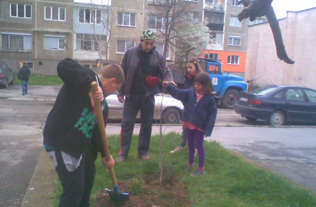 Засадиха нови 20 декоративни дръвчета в Горичката на знанието