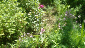 Очаква ни топъл април