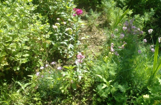 Очаква ни топъл април