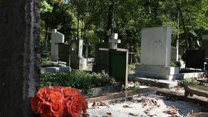 Обраха централните гробища в София