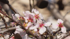 До 29 градуса ни очакват през април