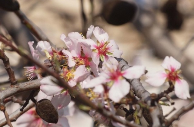 До 29 градуса ни очакват през април