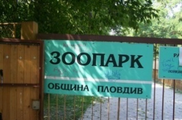Обявяват конкурс за ремонта на зоологическата градина в Пловдив