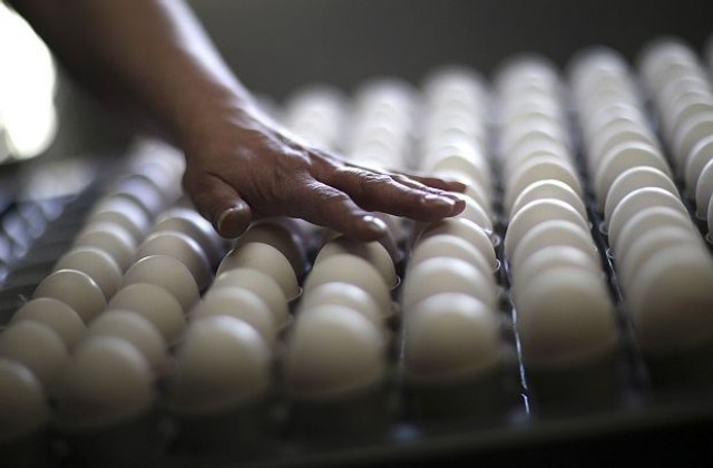 Яйцата няма да поскъпват предпразнично, твърди производител