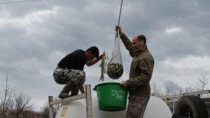 Зарибиха яз Йовковци с бял амур и шаран