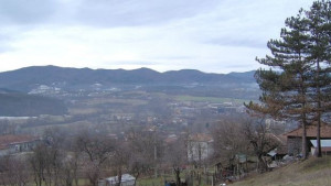 Благородни елени убити край село Гъбене