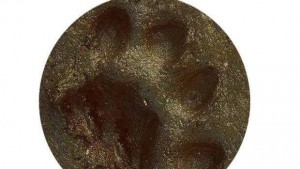 В Габрово раздават монети с отпечатък от рис