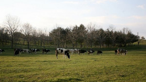 Агроасоциации предлагат данък върху пустеещите земи