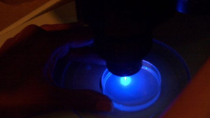 Черупка на стрида вдъхновява разработване на прозрачна военна броня