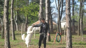 В Мездра отвори врати полигон за обучение на кучета