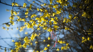 Променлива облачност на места ще превали