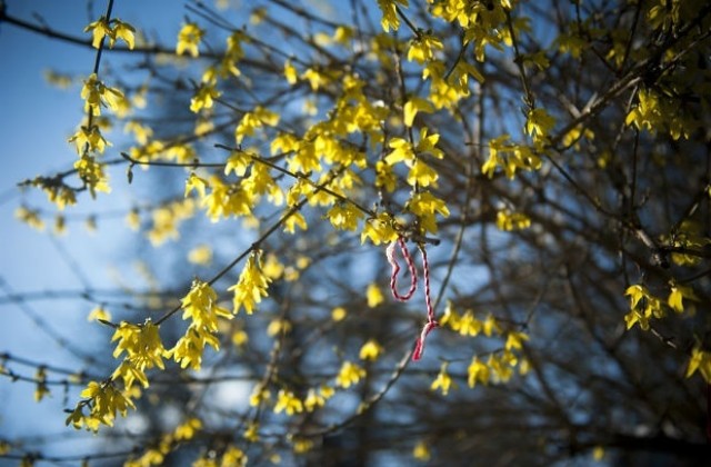 Променлива облачност, на места ще превали