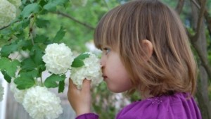 Световен ден на аутизма