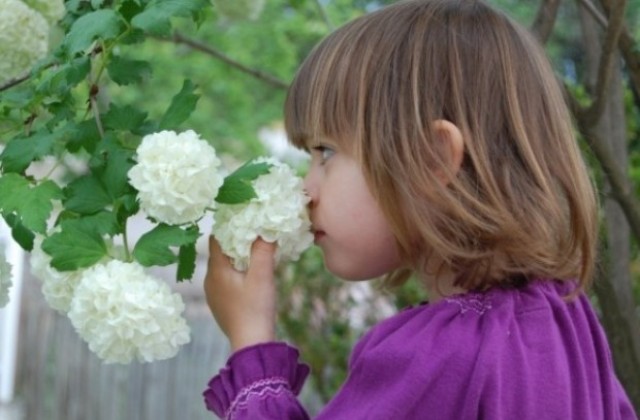 Световен ден на аутизма