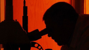 Учени са създали нов шумоизолиращ материал