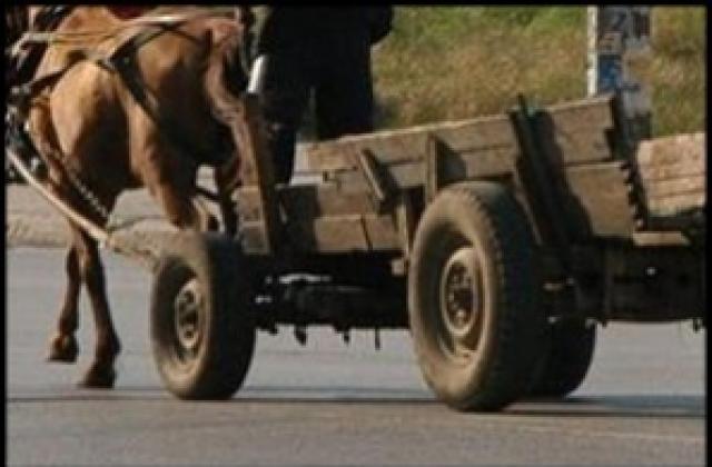 Мъж открадна каруца