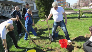 ГЕРБСвищов засади цветя на възлови места в града