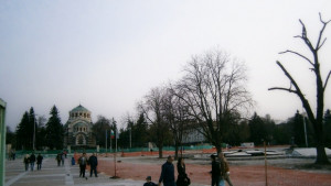 Нови зелени площи в центъра подмладяват старите дървета