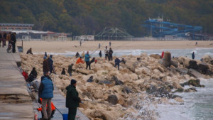 Черно море на път да остане без риба