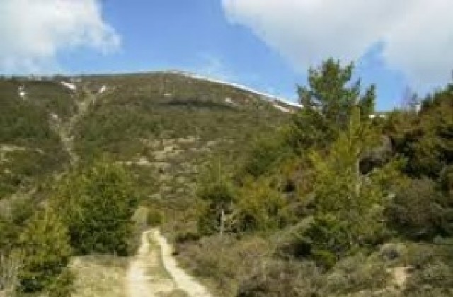 РДГ Кюстендил и ТП ДЛС Осогово организират почистване на Осоговската планина