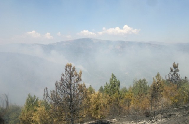 Горя пожар на територия 400 дка. в района на Каменичка Скакавица и Преколница