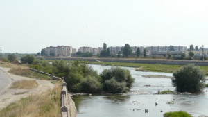 Млада жена скочи от моста при Водната палата
