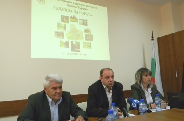 30 иглолистни фиданки залесяват на Арбанаси в Седмицата на гората