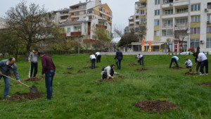 Засадиха 15 дръвчета в парк Колю Фичето