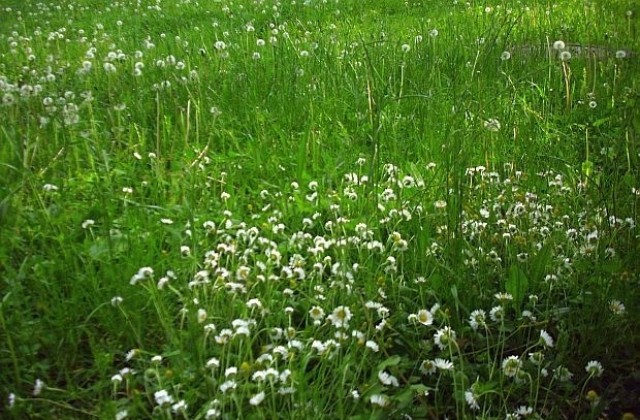 Започва борбата срещу кърлежи