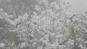 Времето на 6 април