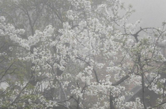 Времето на 6 април