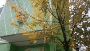 Седмицата на гората започва с концерти безплатни фиданки и консултации