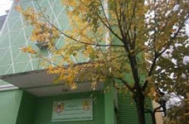 Седмицата на гората започва с концерти, безплатни фиданки и  консултации за граждани