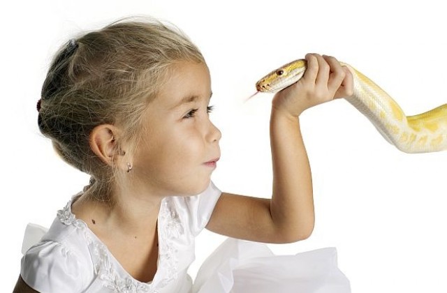Деца ще гушкат змии в Природонаучния музей в Пловдив